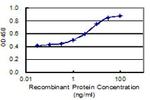 LRRIQ1 Antibody in ELISA (ELISA)
