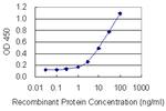 PHF6 Monoclonal Antibody (8F24)