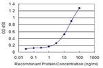 PROK1 Monoclonal Antibody (3C3)