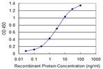 COX4I2 Antibody in ELISA (ELISA)