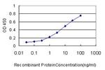 TNS4 Antibody in ELISA (ELISA)