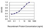 C14ORF143 Monoclonal Antibody (3B3)