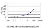 TP53RK Antibody in ELISA (ELISA)