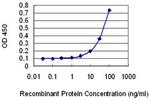 AHNAK2 Antibody in ELISA (ELISA)