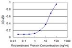 TUBGCP5 Monoclonal Antibody (2H5)