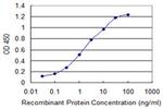 GNRHR2 Monoclonal Antibody (1A5)