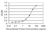 LRG1 Monoclonal Antibody (1H1)