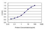 PRAP1 Monoclonal Antibody (2B4)