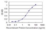 MSI2 Antibody in ELISA (ELISA)