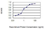 ZNF428 Antibody in ELISA (ELISA)