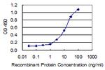 GIPC3 Monoclonal Antibody (8H8)