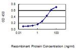 IQCF1 Antibody in ELISA (ELISA)