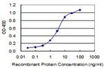 EMID2 Monoclonal Antibody (2D10)