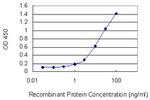 PASD1 Antibody in ELISA (ELISA)