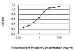 BRI3BP Antibody in ELISA (ELISA)