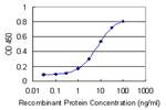 DYDC1 Monoclonal Antibody (2B8)
