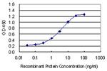 OTOS Antibody in ELISA (ELISA)