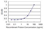 SGOL1 Antibody in ELISA (ELISA)