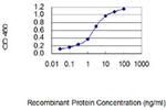 CLECL1 Antibody in ELISA (ELISA)