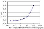 SLFN5 Antibody in ELISA (ELISA)