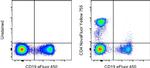 CD4 Antibody in Flow Cytometry (Flow)