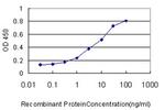 SPRED2 Antibody in ELISA (ELISA)
