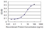 ZSCAN4 Monoclonal Antibody (2C7)