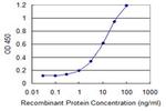 SCUBE3 Antibody in ELISA (ELISA)
