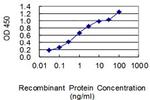 GATC Antibody in ELISA (ELISA)