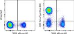 CD3 Monoclonal Antibody (UCHT1), NovaFluor™ Blue 800, eBioscience™