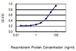 TMEM179B Antibody in ELISA (ELISA)