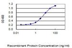 TMEM81 Antibody in ELISA (ELISA)