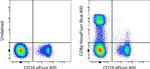 CD8a Monoclonal Antibody (OKT8 (OKT-8)), NovaFluor™ Blue 800, eBioscience™