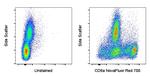 CD8a Monoclonal Antibody (OKT8 (OKT-8)), NovaFluor™ Red 700, eBioscience™