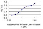 FLJ35767 Antibody in ELISA (ELISA)