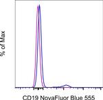CD19 Antibody in Flow Cytometry (Flow)