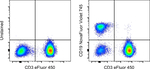 CD19 Antibody in Flow Cytometry (Flow)