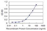 PDPK2 Monoclonal Antibody (1G3)