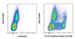 CD16 Monoclonal Antibody (3G8), NovaFluor™ Blue 610-70S, eBioscience™