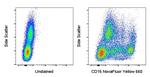 CD16 Monoclonal Antibody (3G8), NovaFluor™ Yellow 660, eBioscience™