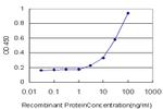 MEF2BNB Antibody in ELISA (ELISA)