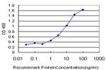 MEF2BNB Antibody in ELISA (ELISA)