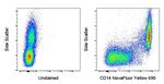 CD14 Monoclonal Antibody (MEM-15), NovaFluor™ Yellow 690, eBioscience™
