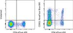 CD62L (L-Selectin) Monoclonal Antibody (DREG-56 (DREG56)), NovaFluor™ Blue 690, eBioscience™
