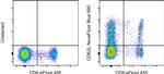 CD62L (L-Selectin) Antibody in Flow Cytometry (Flow)