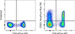 CD62L (L-Selectin) Monoclonal Antibody (DREG-56 (DREG56)), NovaFluor™ Blue 760, eBioscience™