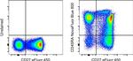 CD45RA Monoclonal Antibody (HI100), NovaFluor™ Blue 800, eBioscience™