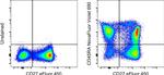 CD45RA Monoclonal Antibody (HI100), NovaFluor™ Violet 690, eBioscience™