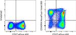 CD45RA Monoclonal Antibody (HI100), NovaFluor™ Violet 800, eBioscience™