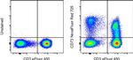 CD73 Antibody in Flow Cytometry (Flow)